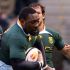 Rugby Championship 2014: South Africa v New Zealand head to head ratings