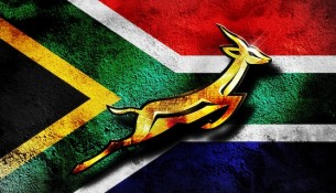 springboks