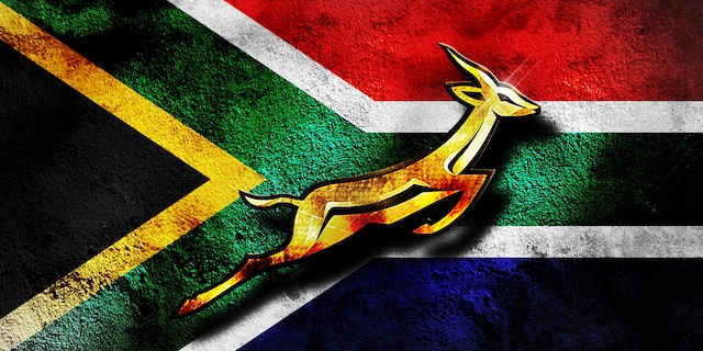 springboks